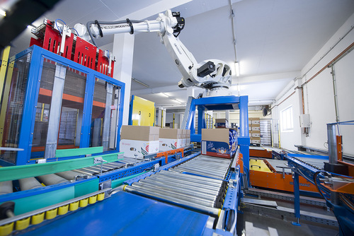 Przemysłowy robot paletyzujący