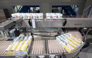 System transportu paletek z jogurtami i wiaderek z serem